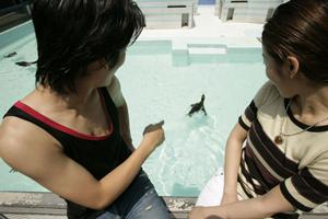 恵企画で国際結婚をすることができる