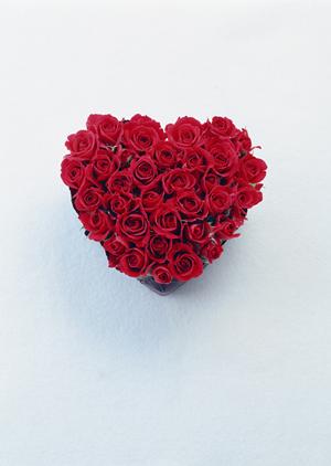 神戸で結婚指輪の購入ならここがおすすめ